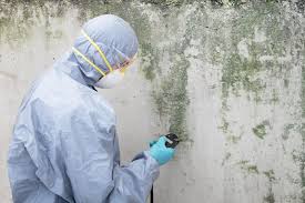 Best Mold Prevention Services  in Reedsburg, WI